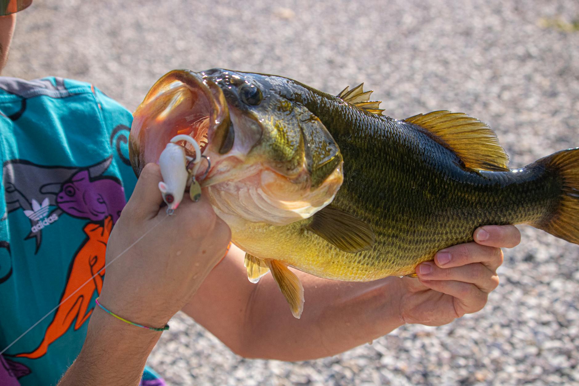 Pond aeration makes fishing more fun!