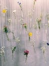 Purple and Yellow Petaled Flowers