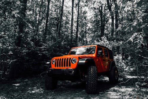 Gratis lagerfoto af jeep, skov