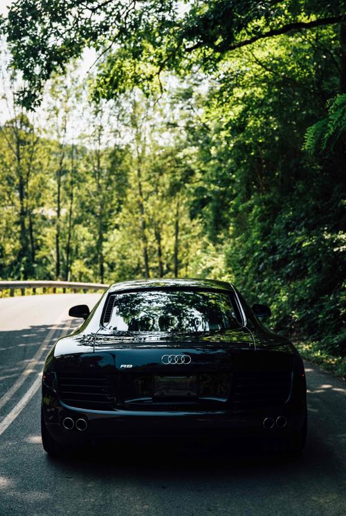 Free Sleek Audi R8 driving through a scenic forest road, showcasing luxury and speed. Stock Photo