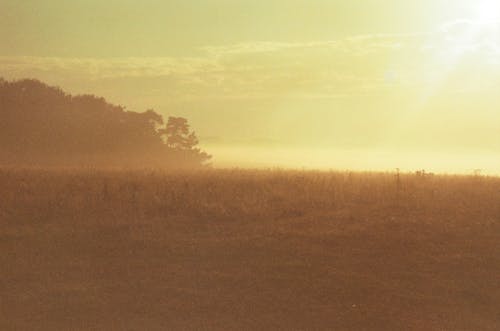 Farm Field Covered with Mist