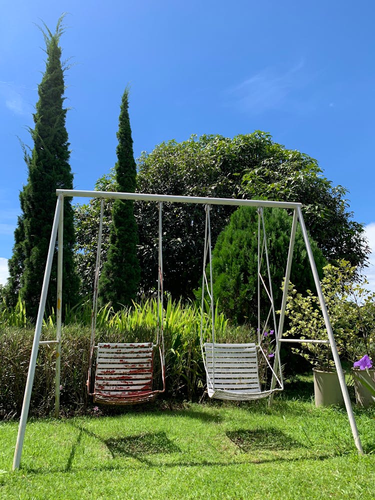 Swings In Green Garden