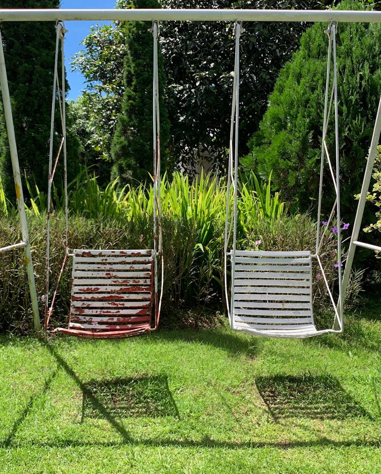 Swings Beside Green Plants