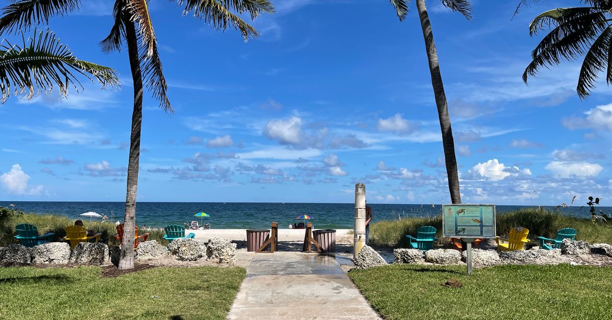 Tropical beach scene with palm trees, ocean view, and beach chairs under a bright blue sky.
