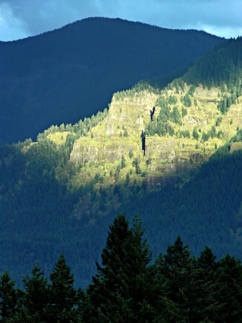 Ingyenes stockfotó napsütötte dombok, skamania, skamania domboldal témában