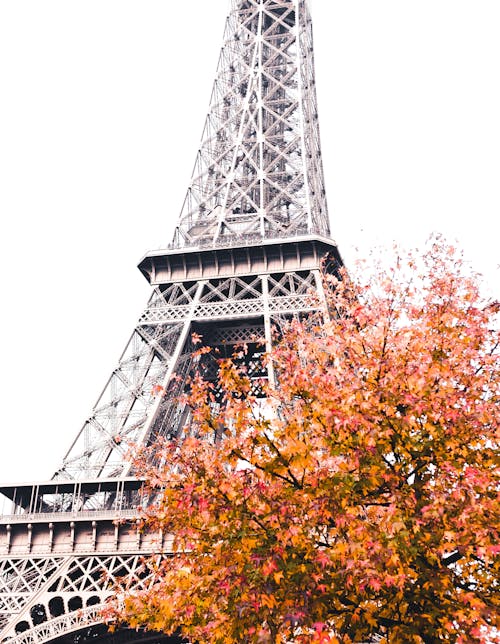 Close-Up Shot of the Eiffel Tower 
