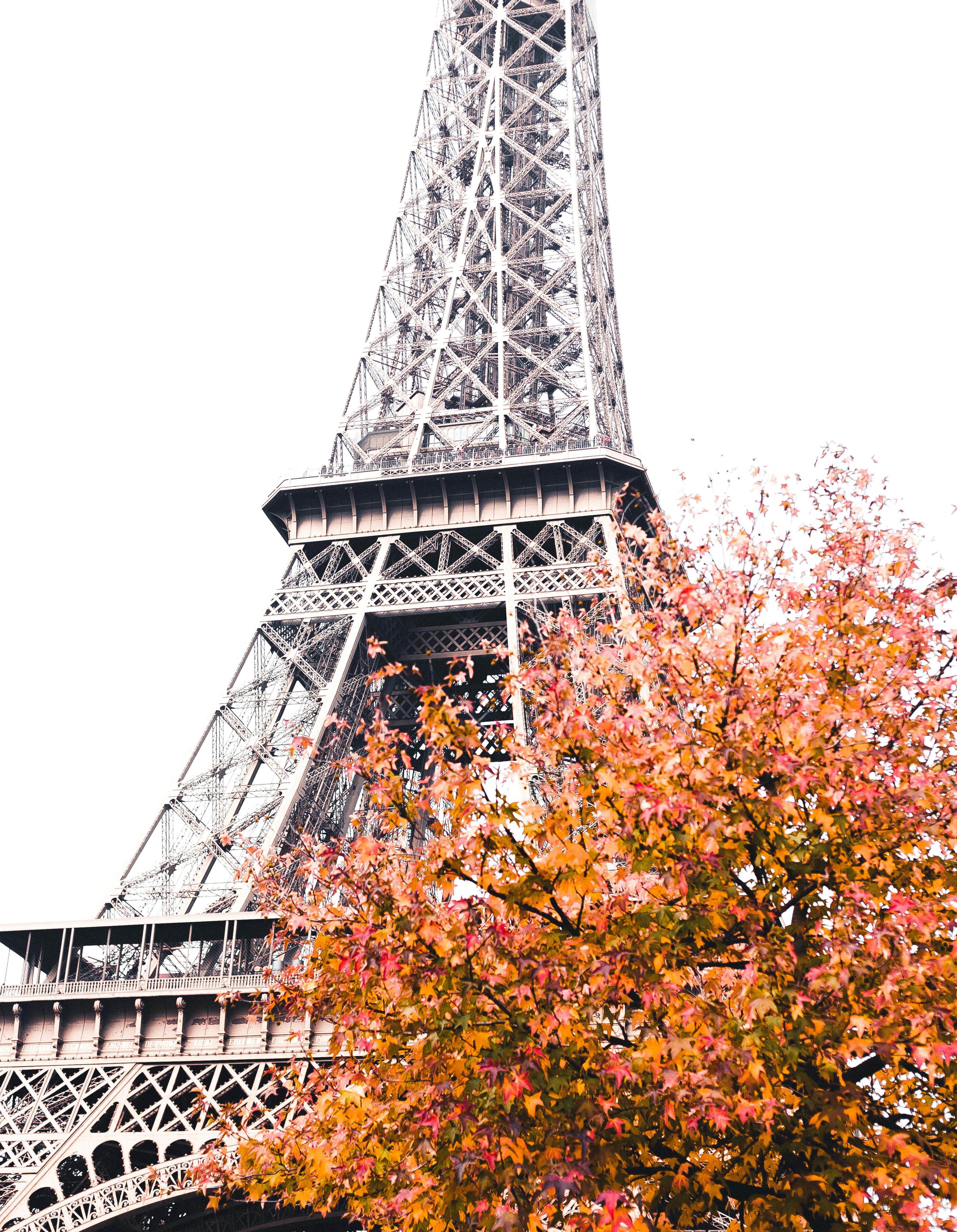 Close-Up Shot of the Eiffel Tower · Free Stock Photo