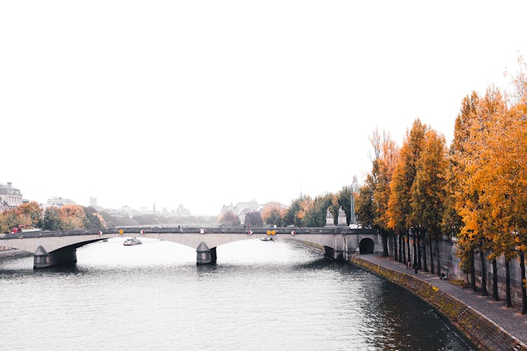 Pont Du Carrousel Over The River Seine In Autumn, Paris, France 