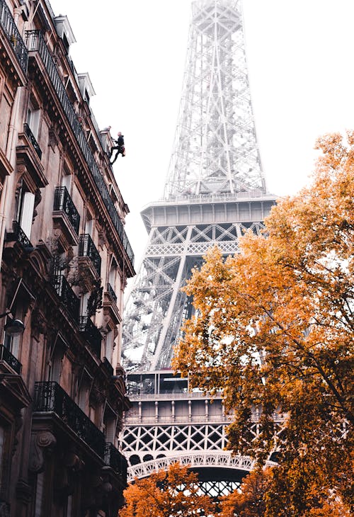 View of the Eiffel Tower