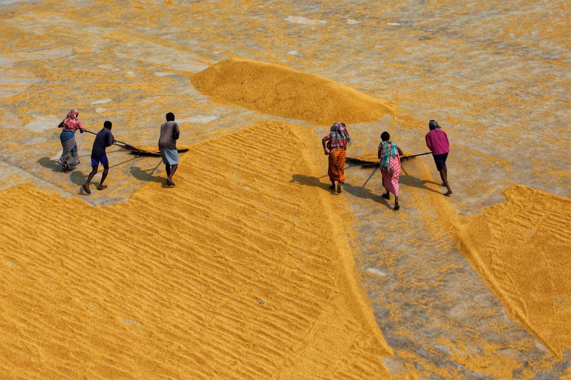 Drying Rice Fields Aerial View of People Working on a Rice Drying Field · Free Stock Photo