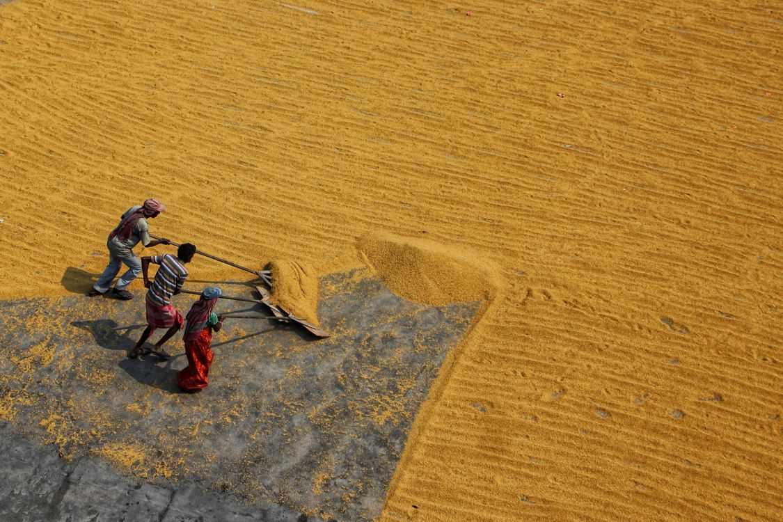 Traditional Rice Drying Aerial View of People Working on a Rice Drying Field · Free Stock Photo