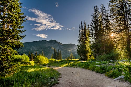 The Most Beautiful Hiking Trails Just Before Winter Sets In