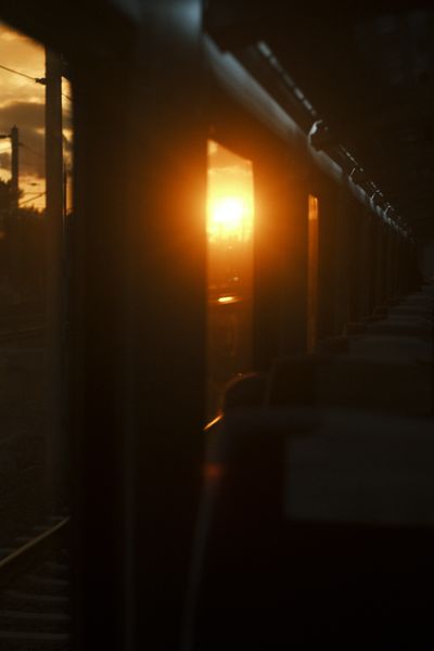 Photo by Ali Ramazan Ciftci on Pexels