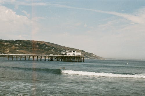 beach, film, la의 무료 스톡 사진