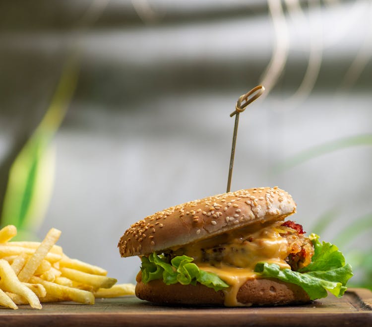 Cheeseburger And Fries 