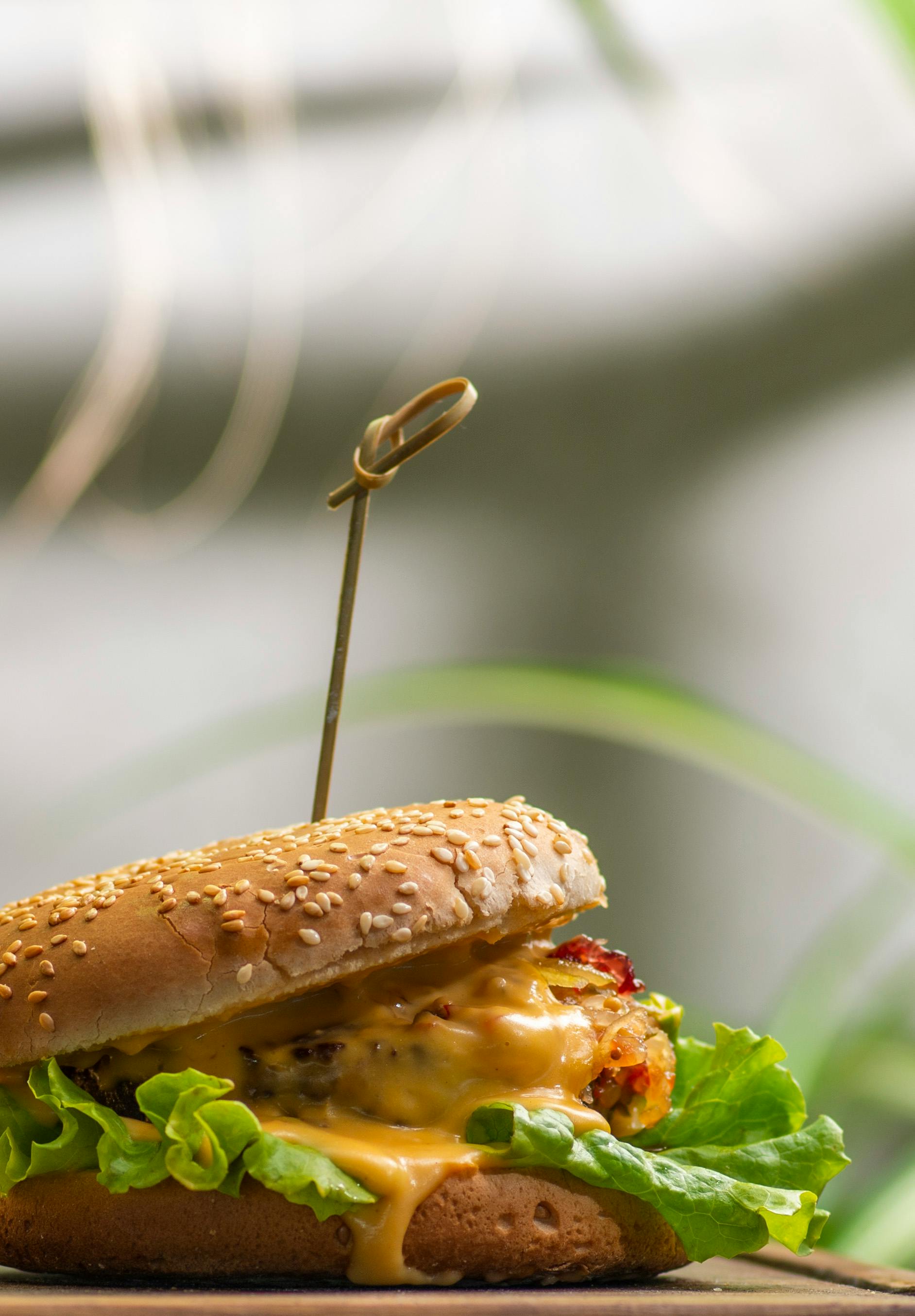 Photo of a Cheeseburger · Free Stock Photo