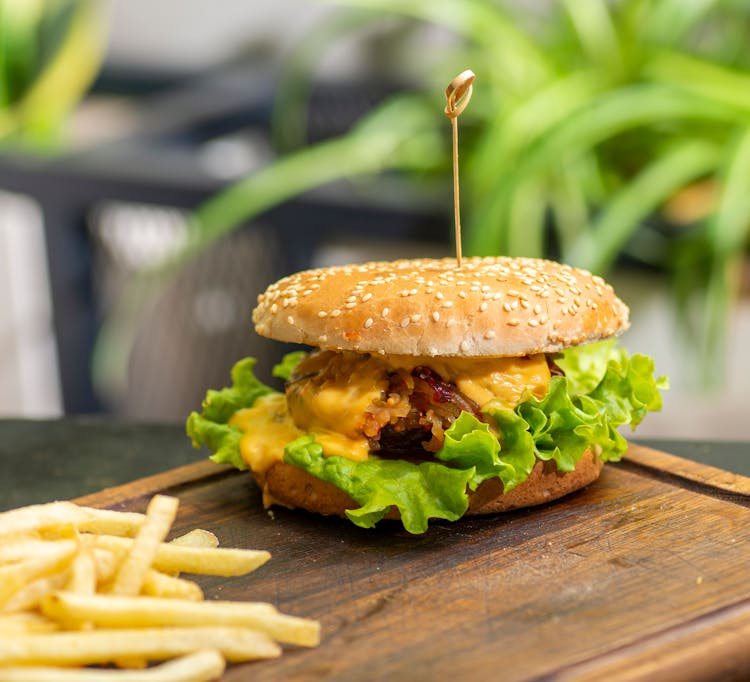 Cheeseburger And Fries 