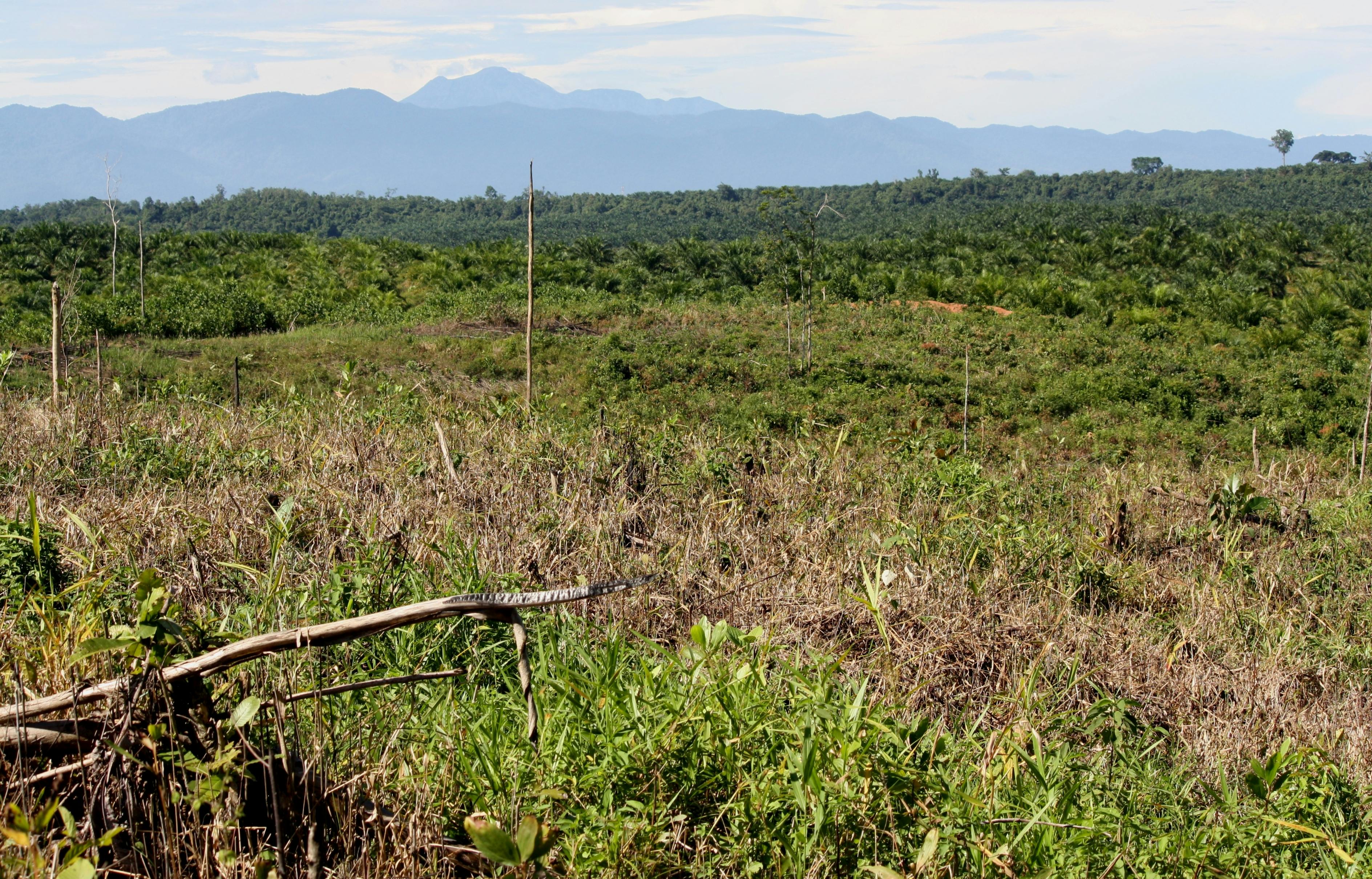 Epoxy Coating Garage Floor