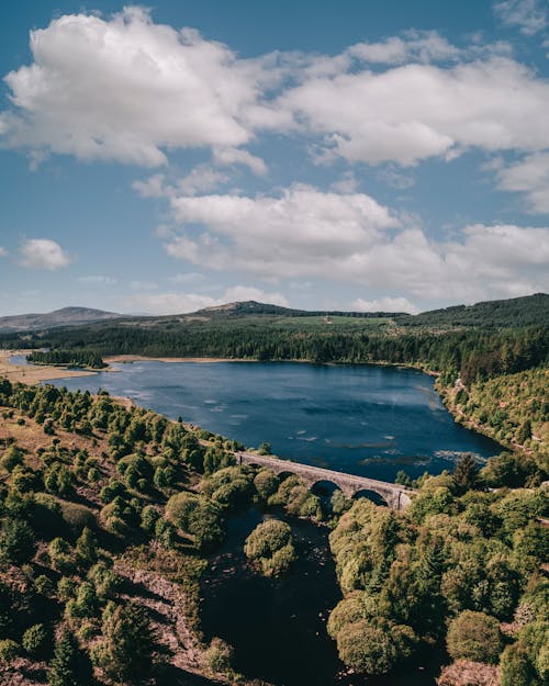 Clouds over Forest and Lake