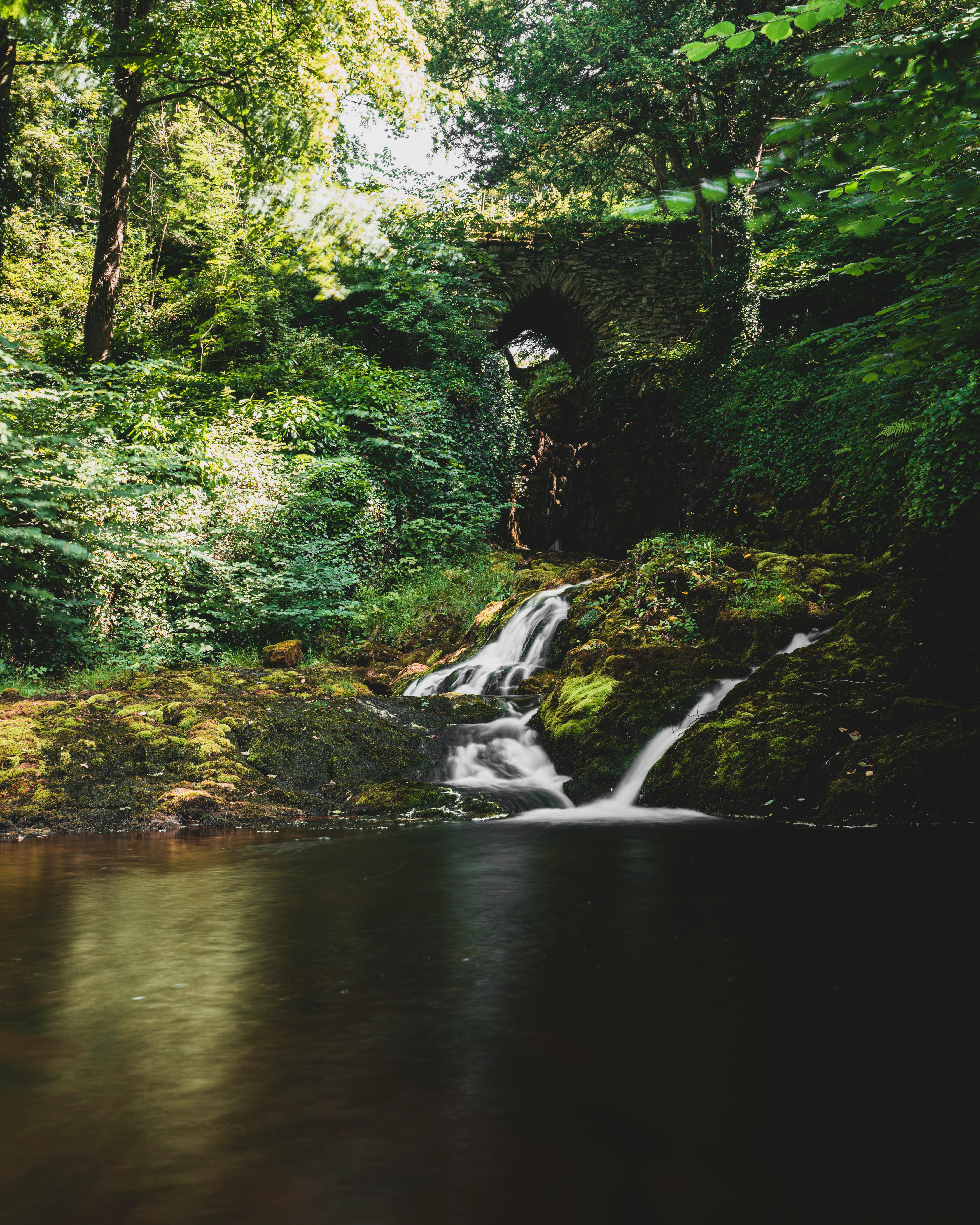 Flowing Water On Stones In Forest · Free Stock Photo