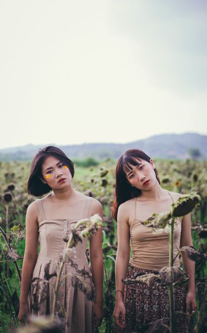 Young women posing in a sunflower field in Lục Ngạn, Vietnam.