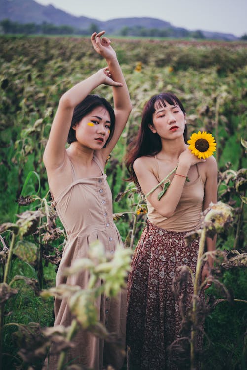 Free Two Woman Standing In The Middle Of Sunflower Field Stock Photo