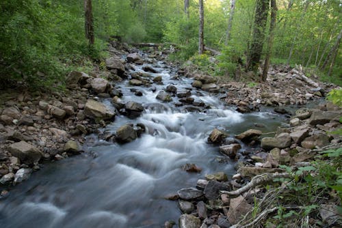Free stock photo of cascades, nature, rapids