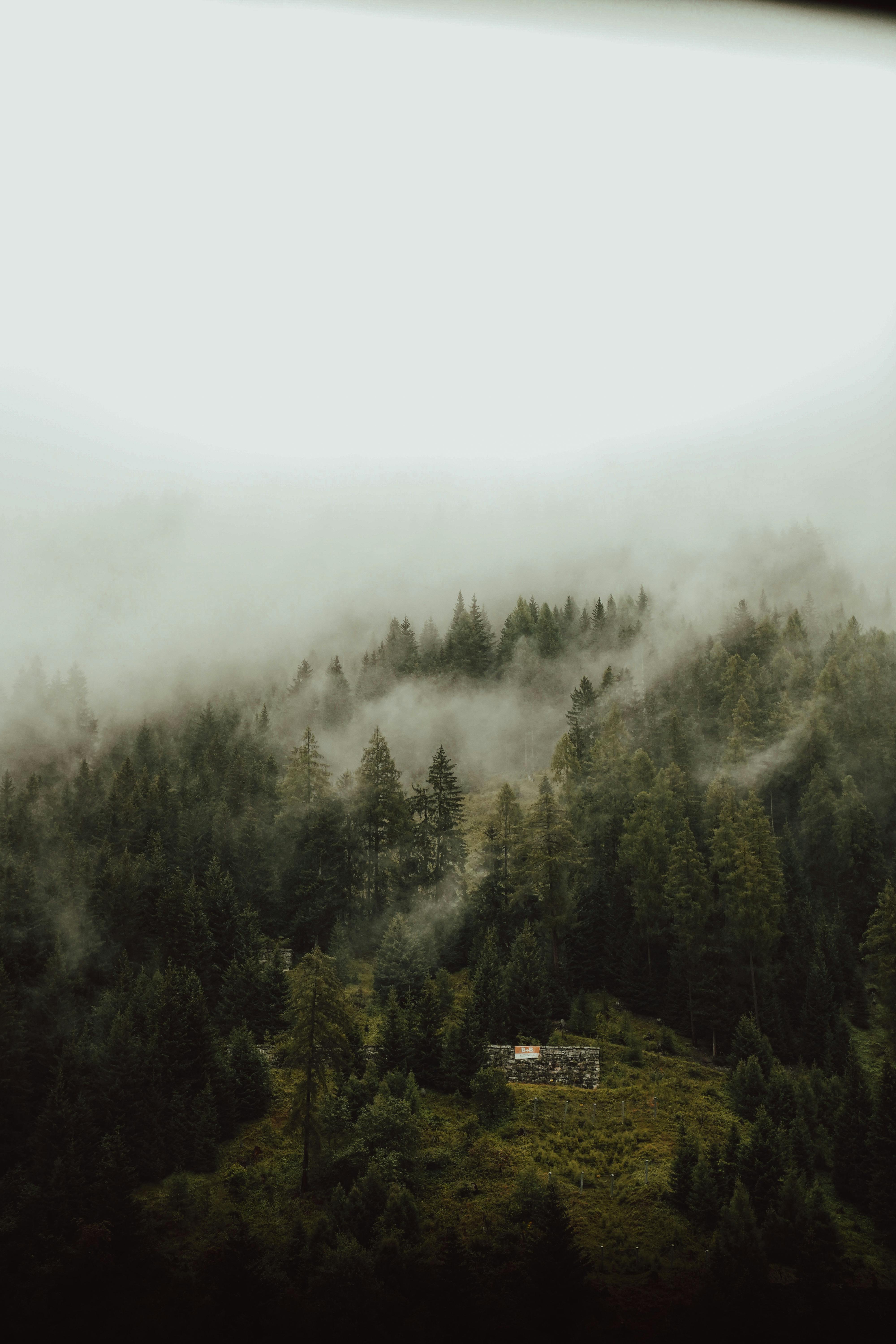 Aerial view of a foggy forest with a small cabin in Italy.