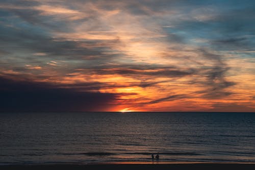 Silhouette of People Standing on Seashore during Sunset