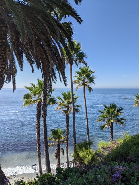 Your Buyer's Playbook for Orange County This Fall