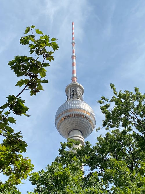 Gratis Fotos de stock gratuitas de arboles, berliner fernsehturm, cielo azul Foto de stock