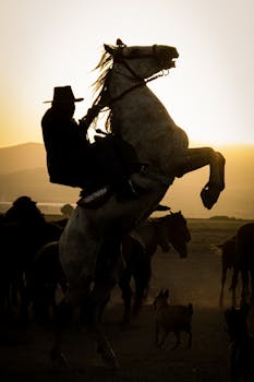 Silhouette of cowboy riding a horse during sunset, creating a dramatic scene.