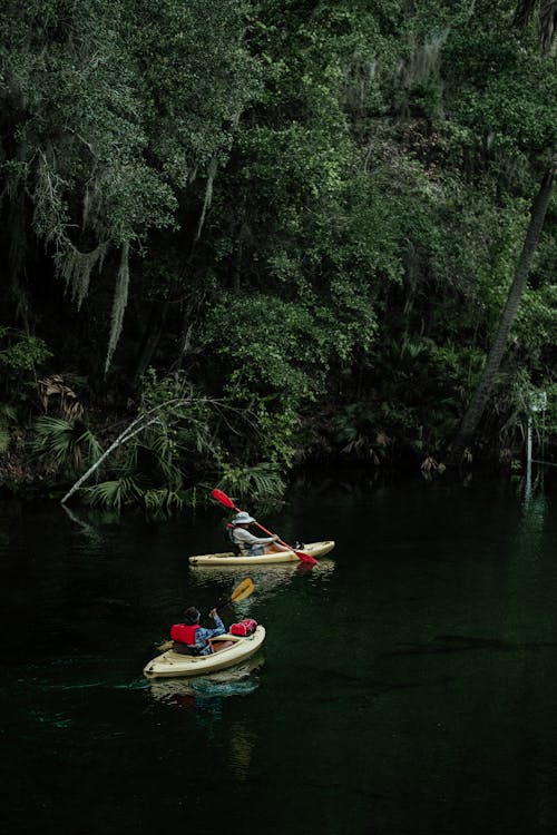 划槳, 划艇, 垂直拍攝 的 免費圖庫相片