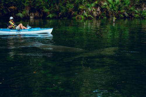 Photo of a Person in a Small Boat Sailing on Water