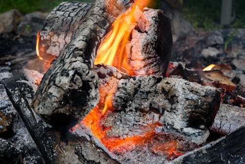 Free Wood on Fire Stock Photo