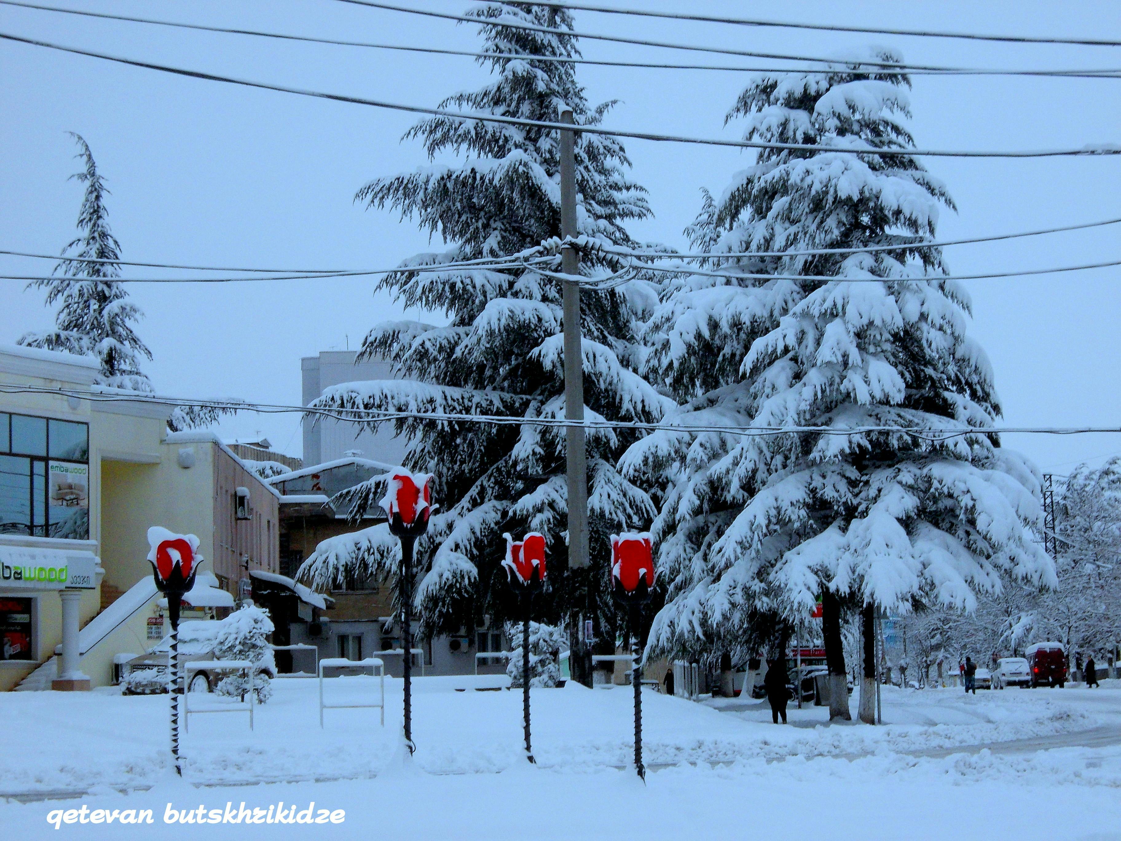 ghgh-gfhgh-photography