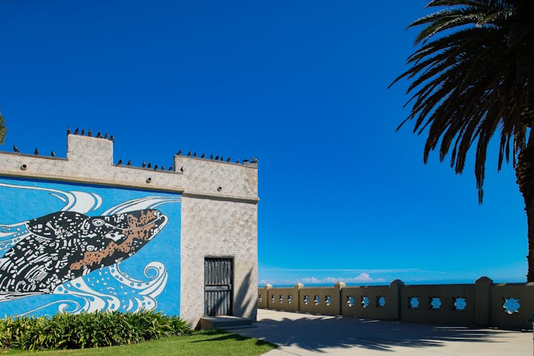 Drawing On Building Wall In Tropical Landscape