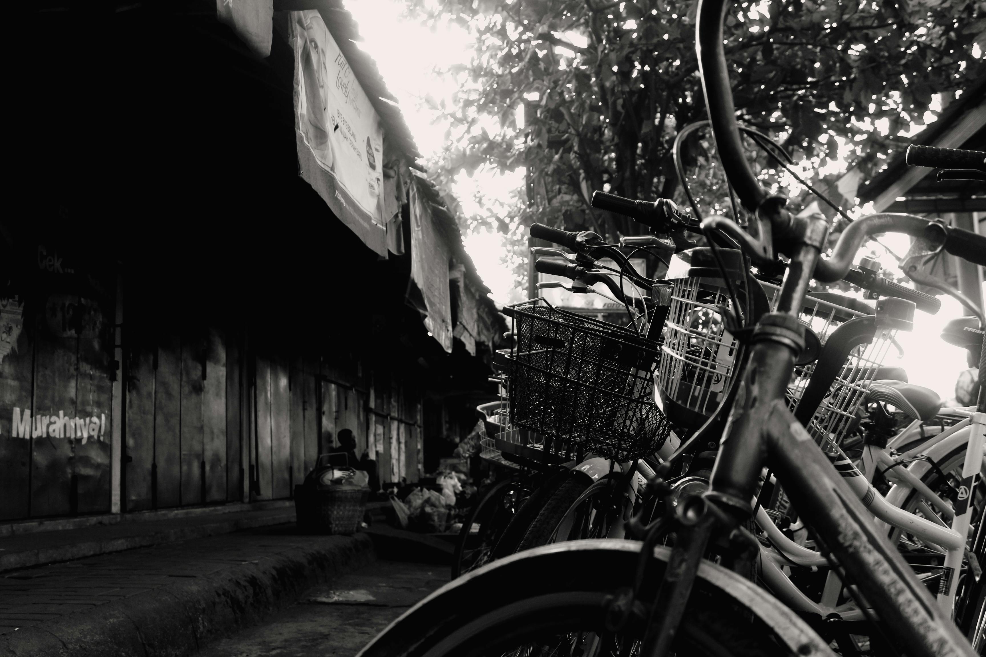 Free stock photo of bike, black and white, Good Morning