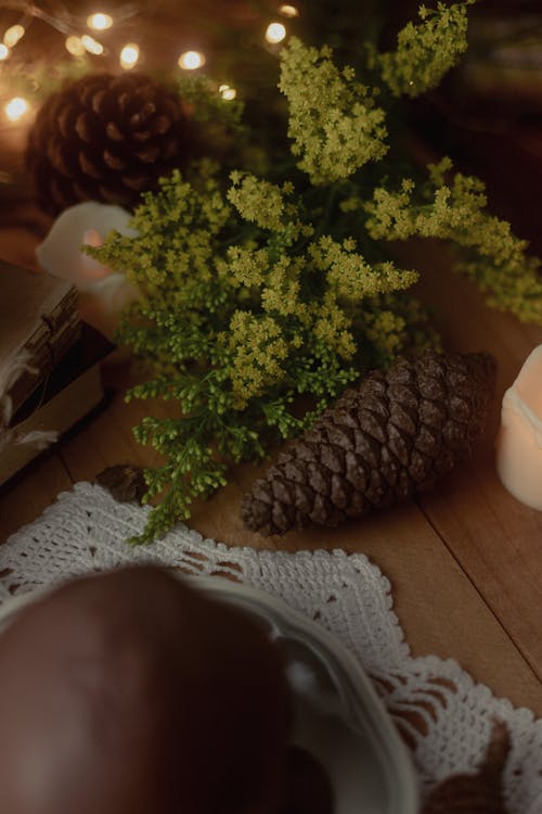 Cones and Twigs with Fairy Lights in the Background