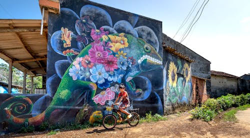 A Boy Riding Bicycle Near Wall with a Painting of Iguana with Flowers