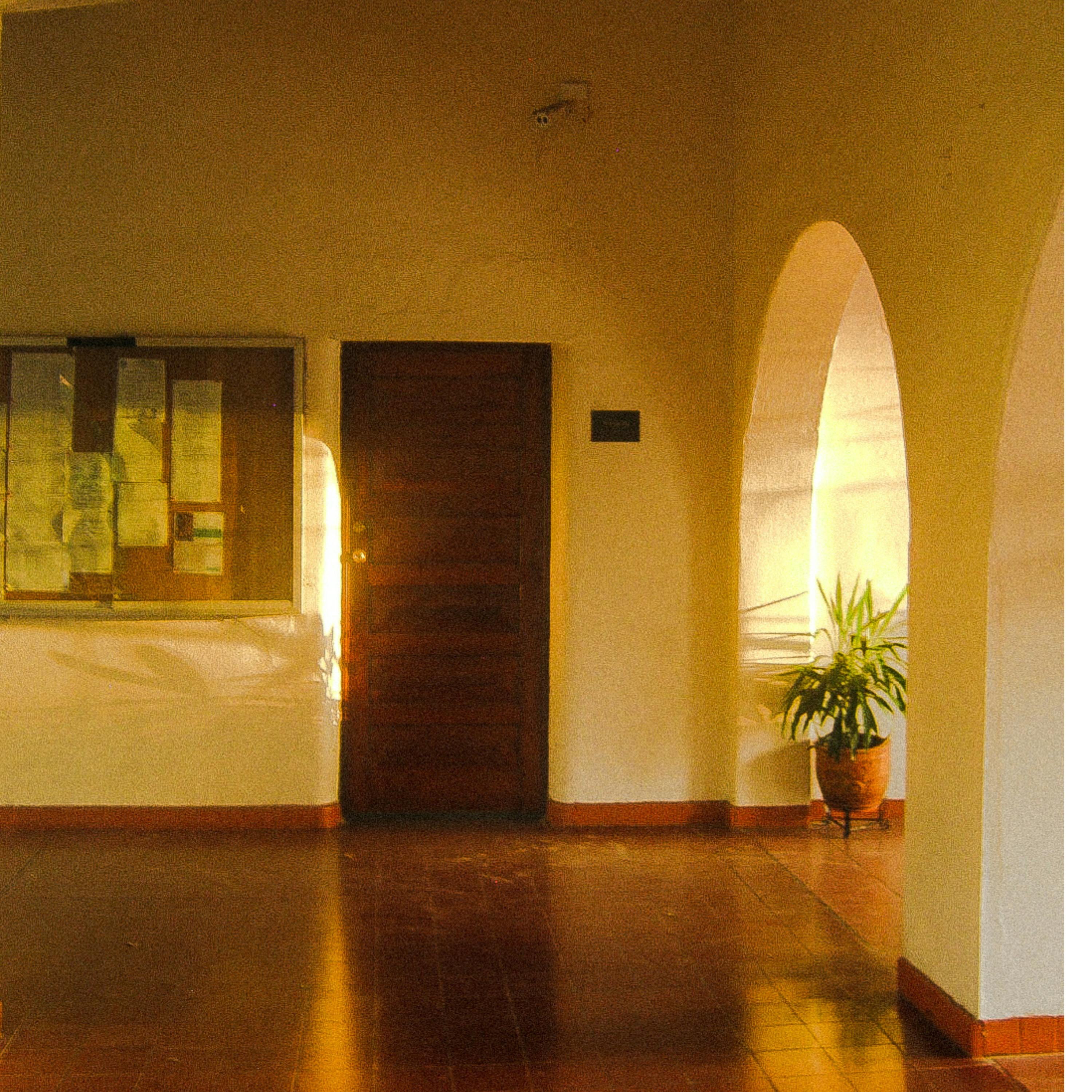 Free Inviting indoor scene with wooden door, archway, potted plant, and warm lighting. Stock Photo
