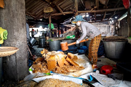 노동, 베트남, 설탕 생산의 무료 스톡 사진