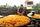 jaggery