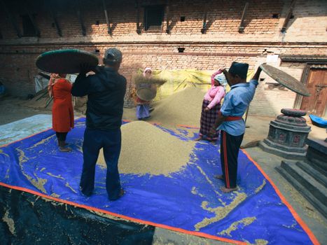 Villagers in traditional attire drying grain in a sunlit courtyard.