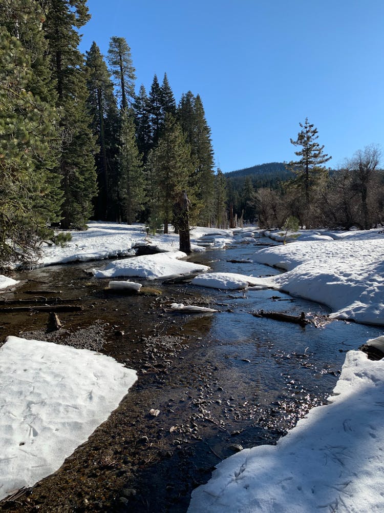 River Flowing Through Snow On Forest Edge