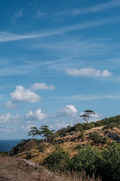 Clouds over Trees on Hill