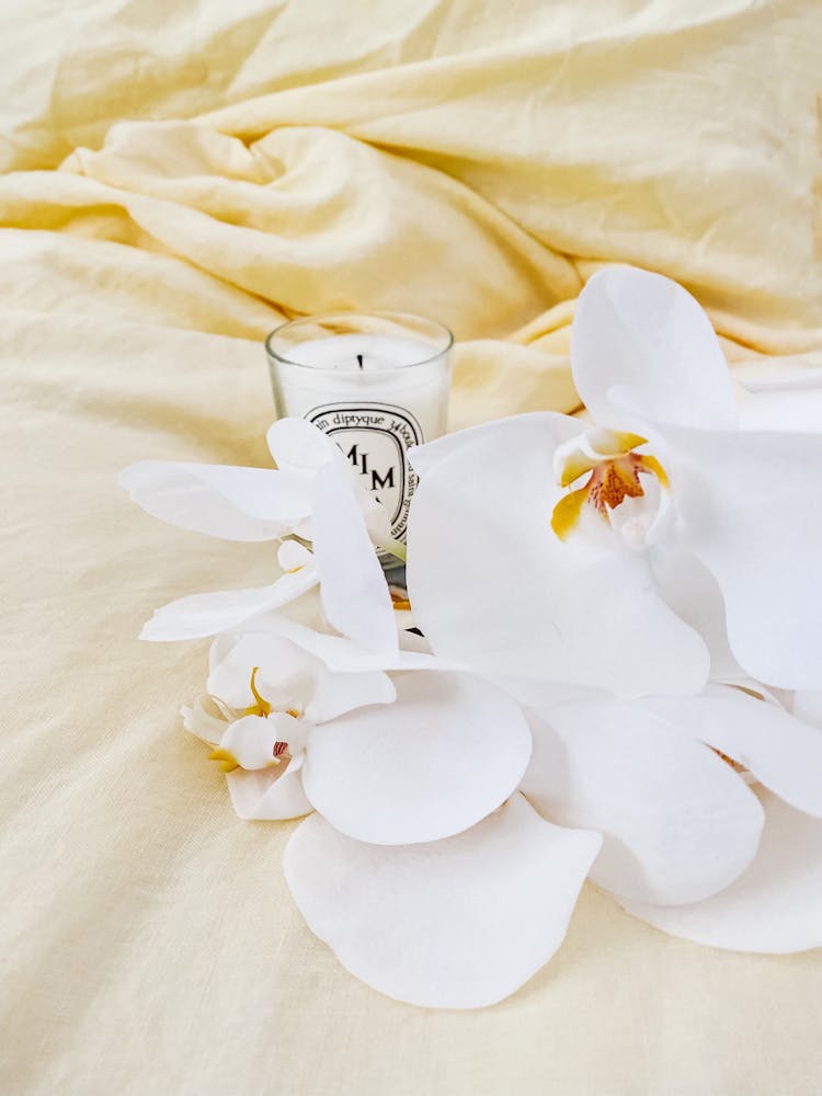 Candle And Flower On White Fabric