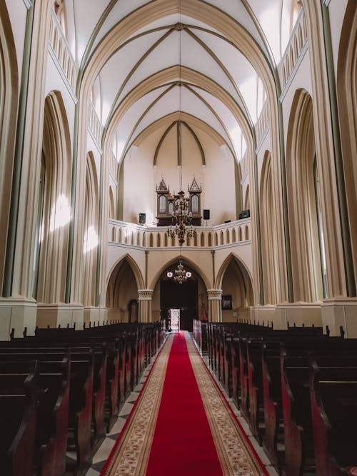 Gratis lagerfoto af buer, indendørs, katedral