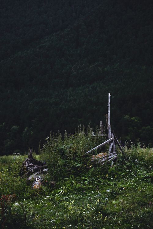 Free Mysterious broken wooden fence surrounded by lush greenery and vegetation. Stock Photo