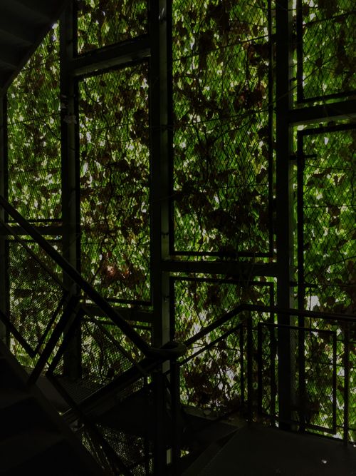Free stock photo of staircase Stock Photo